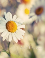 Фотоальбом UFO 10x15x200 PP-46200 Daisy2